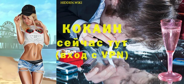 прущий лед Алзамай