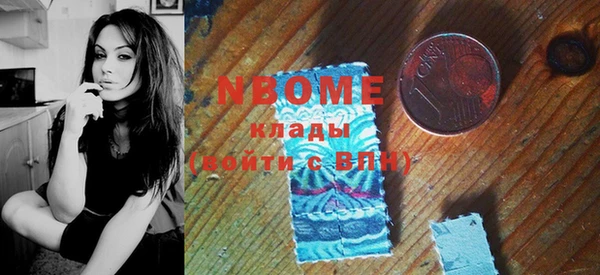 прущий лед Алзамай