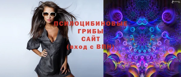 таблы Алексин