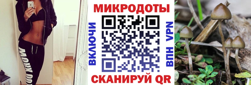 Галлюциногенные грибы мухоморы  kraken зеркало  Бердск 