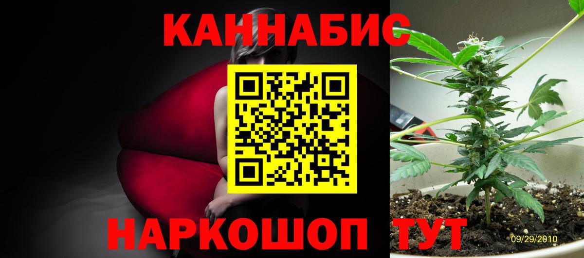 Канабис Amnesia Бердск